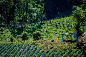 BIB: 
                            <button type="button" onclick="openModal(19163616)" class="btn btn-primary btn-sm float-right btn-popup" data-toggle="modal" data-target=".modal-high-quality">
                        <i class="fas fa-shopping-cart"></i> Add to Cart
                    </button>
                                            <button type="button" onclick="isThisMe(19163616, true)" class="btn btn-success btn-sm float-right btn-popup btn-isme hidden" data-toggle="tooltip" data-placement="bottom" title="นี่คือรูปของคุณใช่ไหม คลิกที่นี่เพื่อเอาเข้าอัลบั้ม">
                        <i class="fas fa-plus"></i> Add to album
                    </button>
                    <button type="button" onclick="isThisMe(19163616, false)" class="btn btn-warning btn-sm float-right btn-popup btn-isnotme hidden">
                        <i class="fas fa-ban"></i> Remove from album
                    </button>